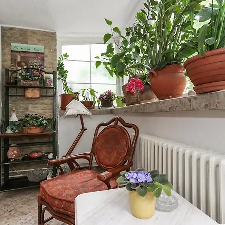 Snug, Homely By The Temple *